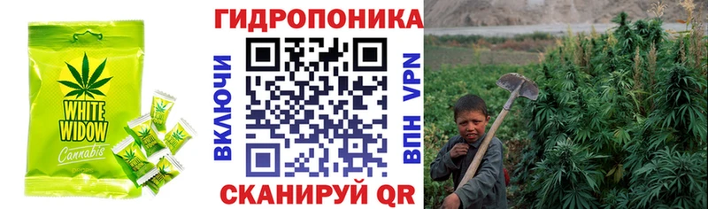 hydra   Онега  Cannafood марихуана 