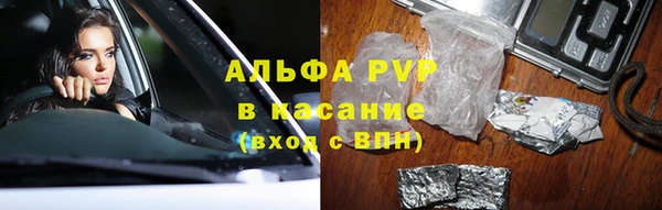прущие крисы Беломорск