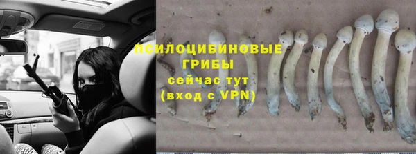 mdpv Гусиноозёрск