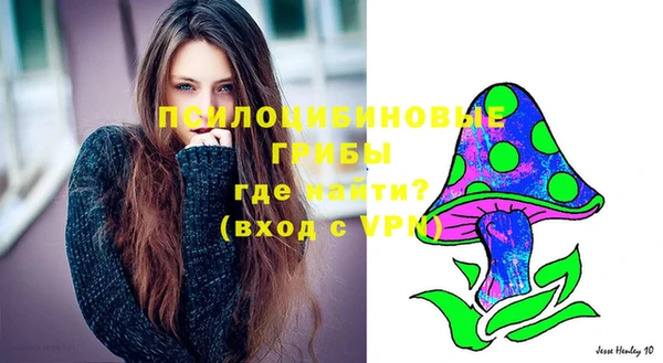 наркотики Белокуриха