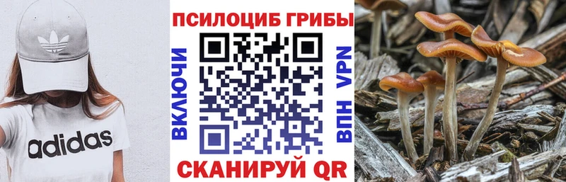Галлюциногенные грибы GOLDEN TEACHER  Онега 